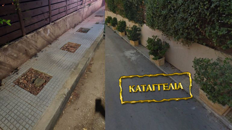 Καταγγελία για Πικέρμι: Στη μία πλευρά του δρόμου κόβουν τα δέντρα και στην άλλη αφήνουν ζαρντινιέρες